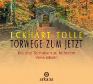 Audio Torwege zum Jetzt, 1 Audio-CD Eckhart Tolle