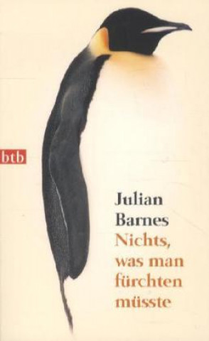 Kniha Nichts, was man fürchten müsste Julian Barnes