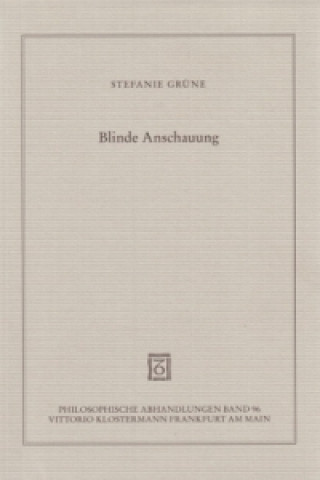 Buch Blinde Anschauung Stefanie Grüne