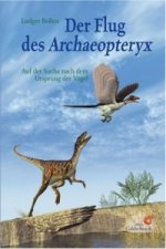 Carte Der Flug des Archaeopteryx Ludger Bollen