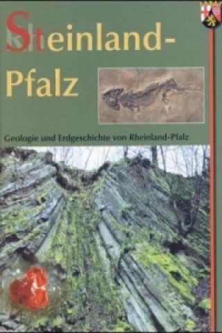 Kniha Steinland Pfalz 