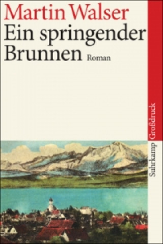 Könyv Ein springender Brunnen, Großdruck Martin Walser