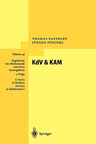 Kniha KdV & KAM T. Kappeler