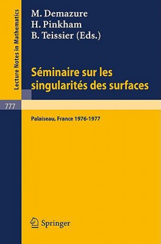 Könyv Seminaire sur les Singularites des Surfaces M. Demazure