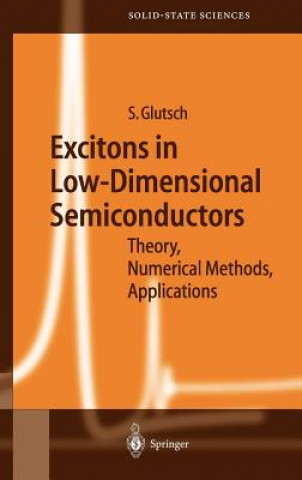 Könyv Excitons in Low-Dimensional Semiconductors S. Glutsch
