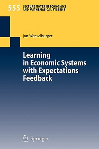 Книга Learning in Economic Systems with Expectations Feedback Joachim Wenzelburger
