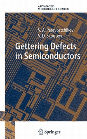 Buch Gettering Defects in Semiconductors Vladimir A. Perevoschikov