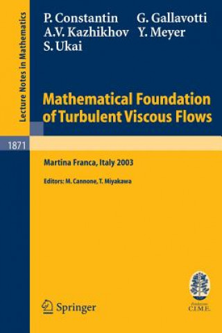 Carte Mathematical Foundation of Turbulent Viscous Flows Peter Constantin
