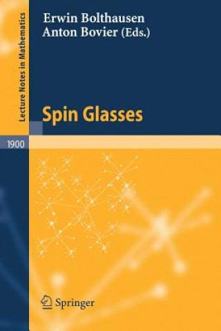 Книга Spin Glasses Erwin Bolthausen