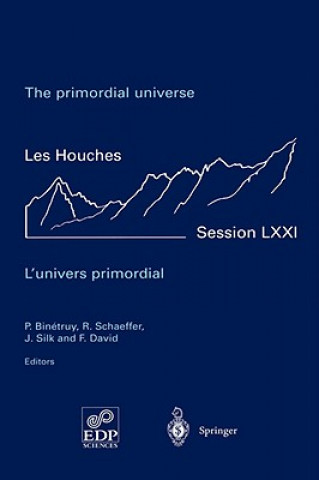 Carte primordial universe - L'univers primordial Pierre Binetruy