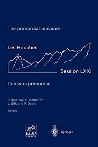 Könyv primordial universe - L'univers primordial Pierre Binetruy