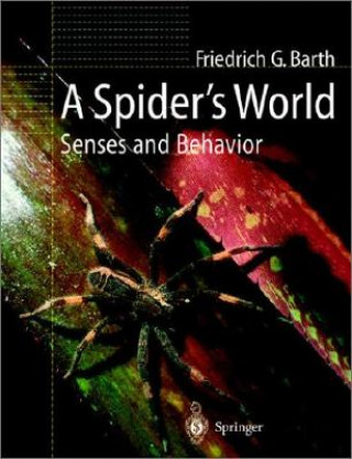 Carte Spider's World Friedrich G. Barth