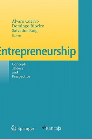 Buch Entrepreneurship Domingo Ribeiro