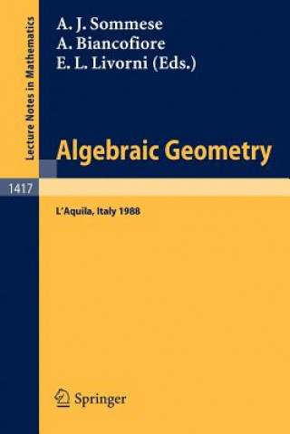 Könyv Algebraic Geometry Aldo Biancofiore