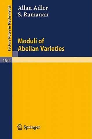 Könyv Moduli of Abelian Varieties Allan Adler