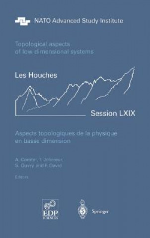 Kniha Aspects Topologiques De La Physique En Basse Dimension. Topological Aspects of Low Dimensional Systems A. Comtet