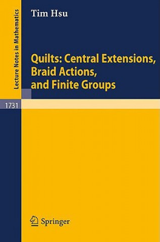 Kniha Quilts: Central Extensions, Braid Actions, and Finite Groups Tim Hsu