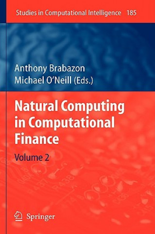 Kniha Natural Computing in Computational Finance Anthony Brabazon