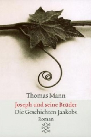 Könyv Joseph und seine Brüder. Tl.1 Thomas Mann