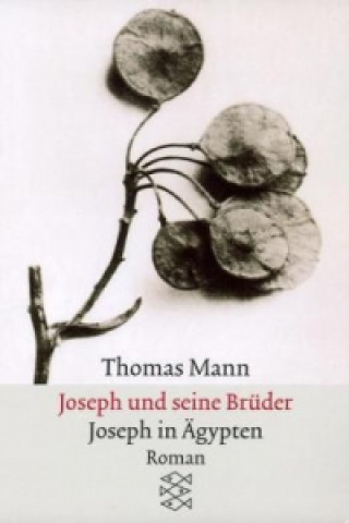 Kniha Joseph und seine Brüder. Tl.3 Thomas Mann
