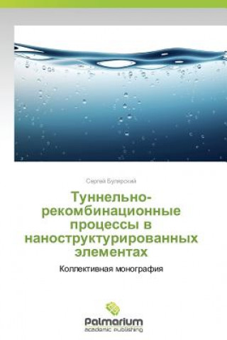 Kniha Tunnel'no-Rekombinatsionnye Protsessy V Nanostrukturirovannykh Elementakh Sergey Bulyarskiy