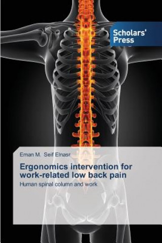 Könyv Ergonomics intervention for work-related low back pain Eman M. Seif Elnasr