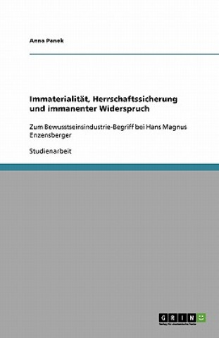 Kniha Immaterialität, Herrschaftssicherung und immanenter Widerspruch Anna Panek
