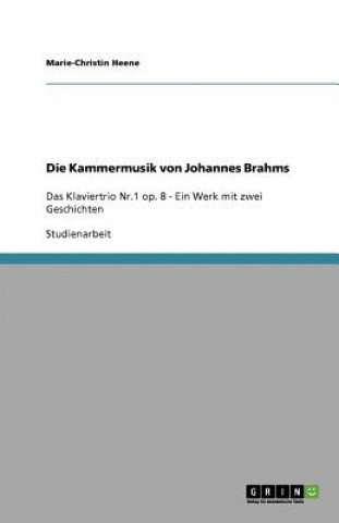 Buch Kammermusik von Johannes Brahms Marie-Christin Heene