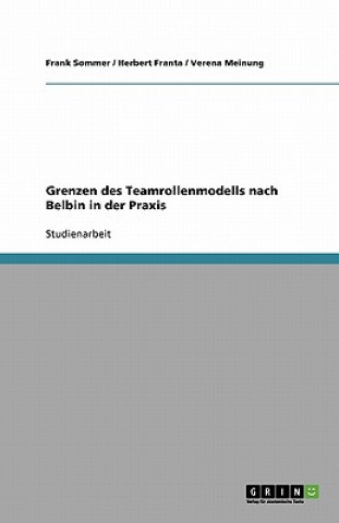 Könyv Grenzen Des Teamrollenmodells Nach Belbin in Der Praxis Frank Sommer