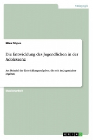 Βιβλίο Die Entwicklung Des Jugendlichen in Der Adoleszenz Mira Düpre