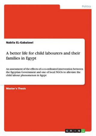 Book better life for child labourers and their families in Egypt Nabila El- Gabalawi