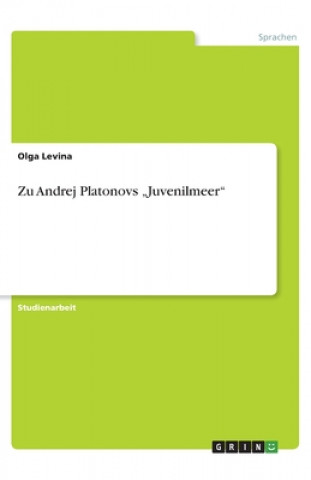 Kniha Zu Andrej Platonovs "Juvenilmeer Olga Levina