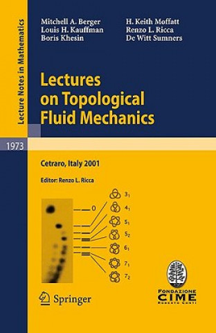 Kniha Lectures on Topological Fluid Mechanics Mitchell A. Berger