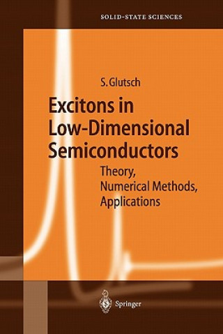 Kniha Excitons in Low-Dimensional Semiconductors Stephan Glutsch