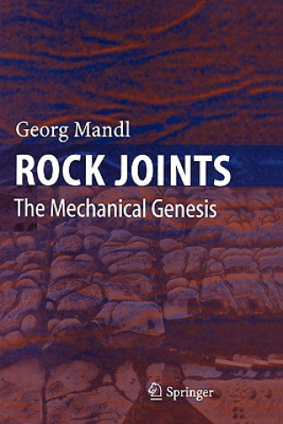 Kniha Rock Joints Georg Mandl