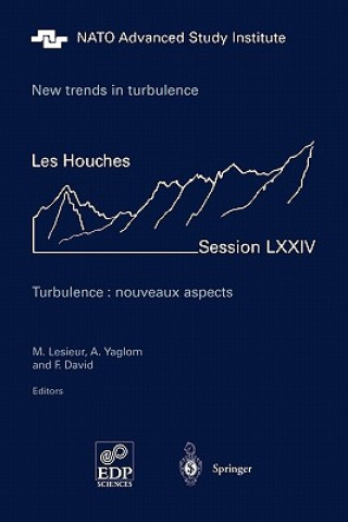 Kniha New trends in turbulence. Turbulence: nouveaux aspects F. David