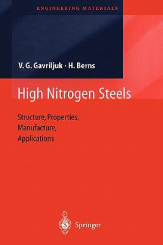 Kniha High Nitrogen Steels Valentin G. Gavriljuk