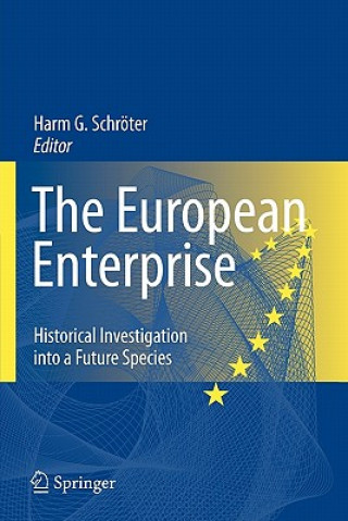 Kniha European Enterprise Harm Gustav Schroeter