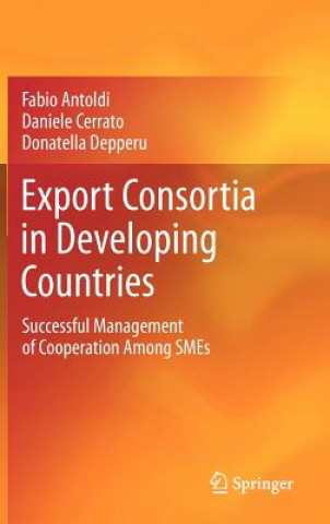 Książka Export Consortia in Developing Countries Donatella Depperu