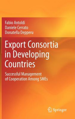 Kniha Export Consortia in Developing Countries Donatella Depperu