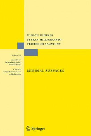 Kniha Minimal Surfaces Ulrich Dierkes