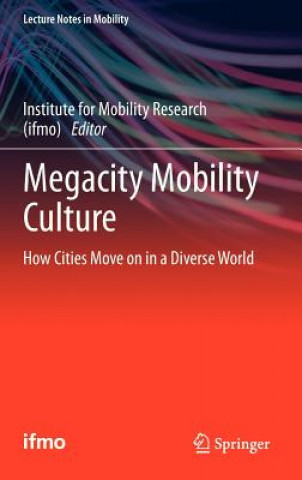Kniha Megacity Mobility Culture 