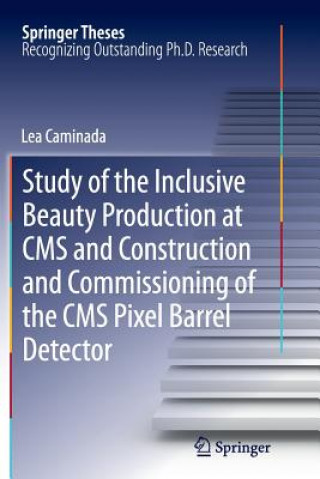 Könyv Study of the Inclusive Beauty Production at CMS and Construction and Commissioning of the CMS Pixel Barrel Detector Lea Caminada