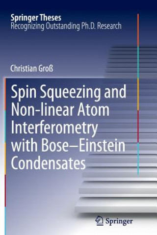 Könyv Spin Squeezing and Non-linear Atom Interferometry with Bose-Einstein Condensates Christian Groß