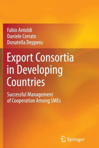 Kniha Export Consortia in Developing Countries Fabio Antoldi