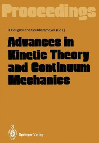 Könyv Advances in Kinetic Theory and Continuum Mechanics Renee Gatignol