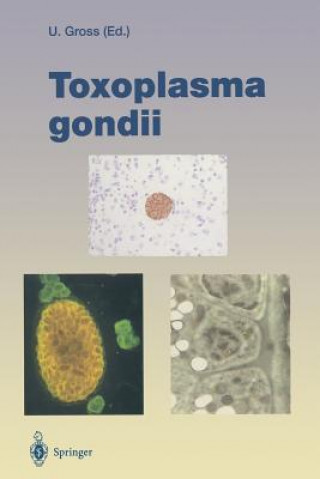 Kniha Toxoplasma gondii Uwe Gross