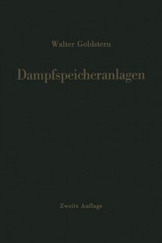 Kniha Dampfspeicheranlagen Walter Goldstern