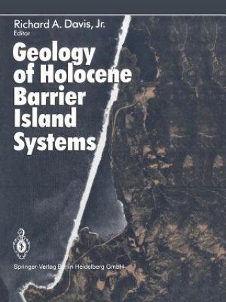 Książka Geology of Holocene Barrier Island Systems Richard A Davis