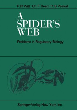 Könyv Spider's Web Peter N. Witt